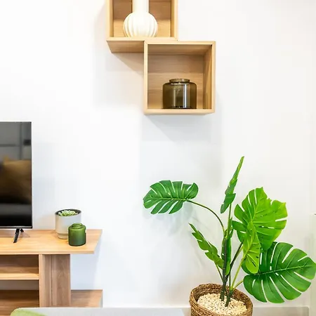 Apartment Charming Santo Antonio Roof